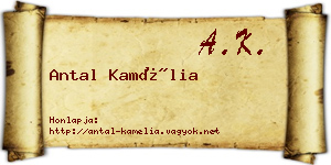 Antal Kamélia névjegykártya